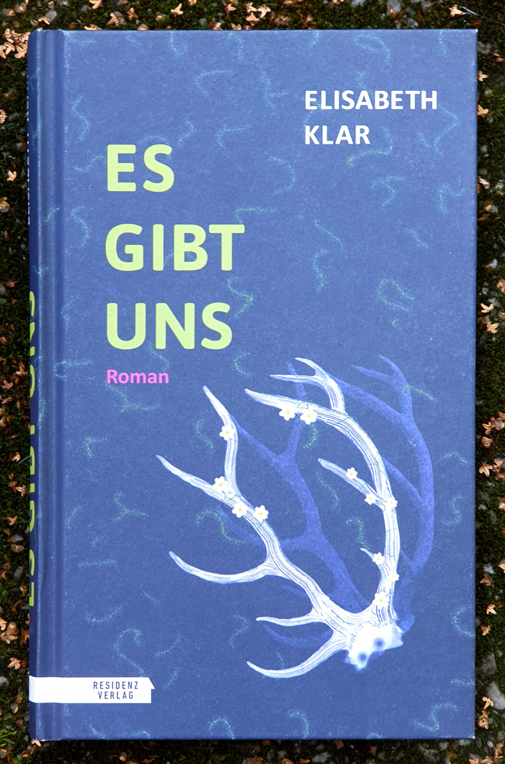 Buchdeckel von Es gibt uns, Roman, von Elisabeth Klar, beim Residenzverlag. Der Titel erscheint groß in hellgrün auf blauem Grund in dem so etwas wie schwimmende Raupen zu erkennen sind und ein große weißes Geweih spiegelt sich darin. Alle anderen Infos befinden sich jeweils am Bildrand.